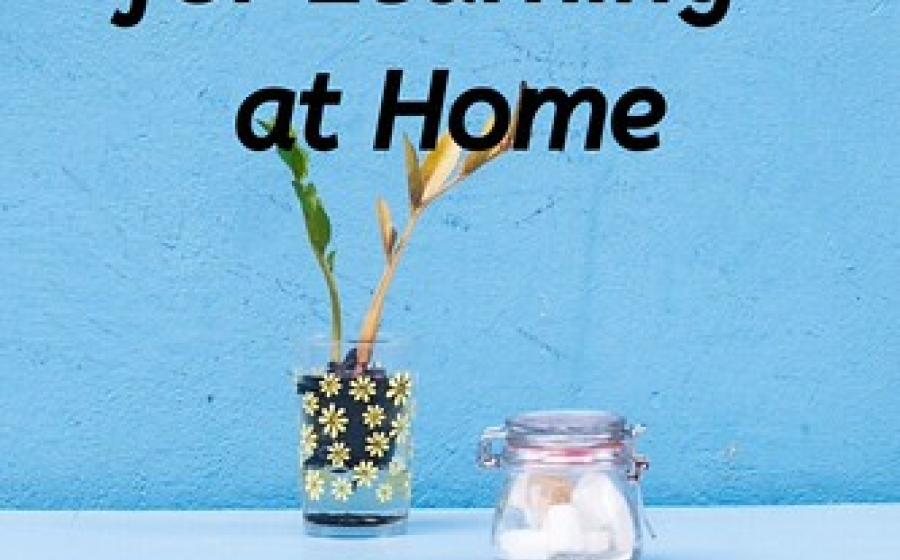 Pen holder on a counter against a blue wall. Words say Your Guide to the Best Resources for Learning at Home