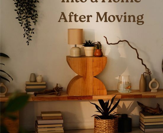 Sun shining into a living room beautifully decorated in shades of brown
